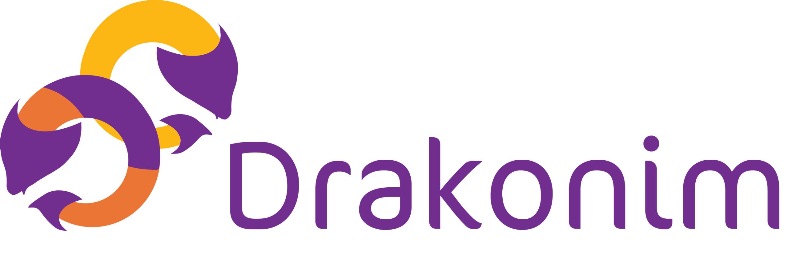 Drakonim IT Services