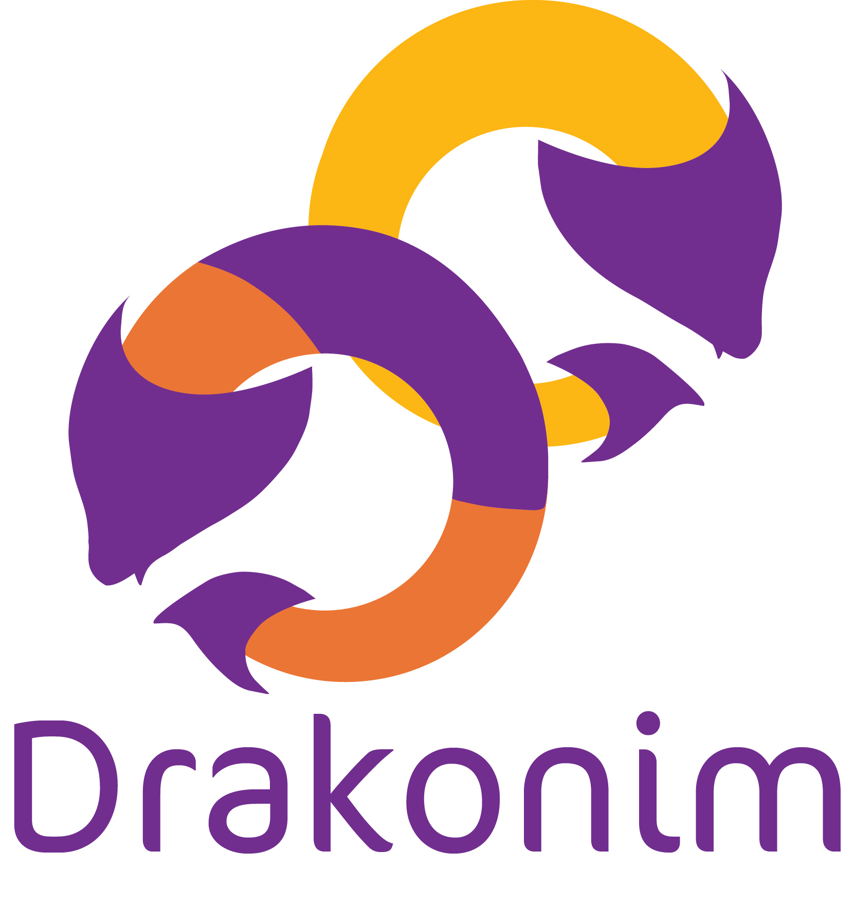 Drakonim logo layout 2 Managed Networks & WiFI